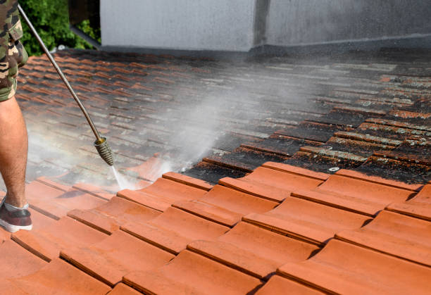 Best Pressure Washing Brick  in Cape May, NJ